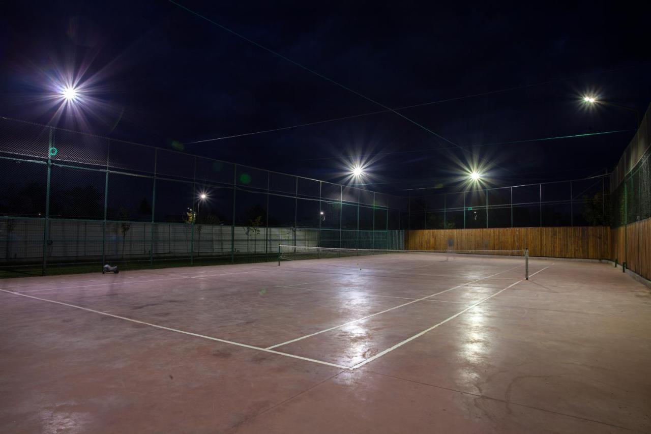 Vila Dumitrana المظهر الخارجي الصورة